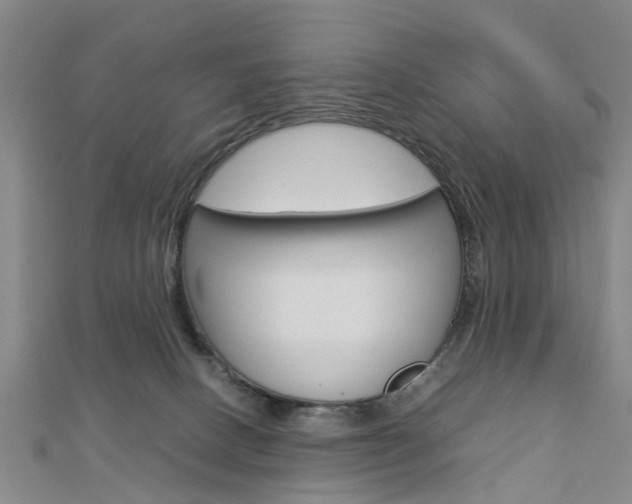 X0000112730082200908201022