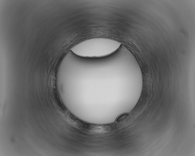 X0000112730083200908201022