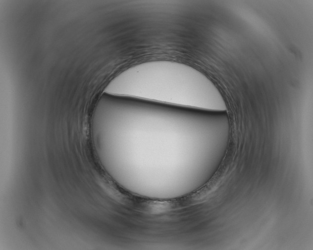 X0000112730085200908201023