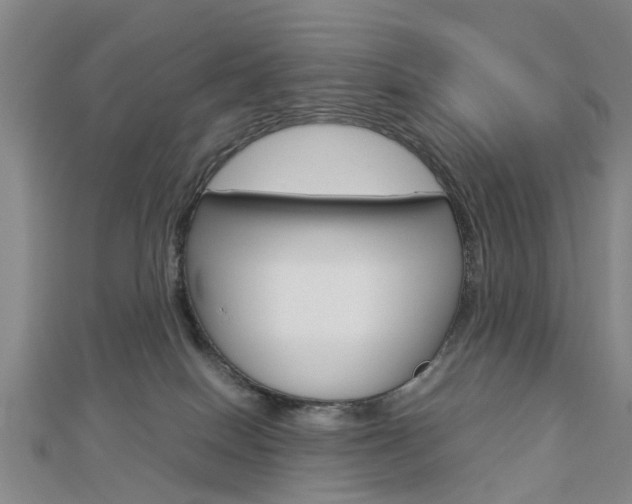 X0000112730086200908201023