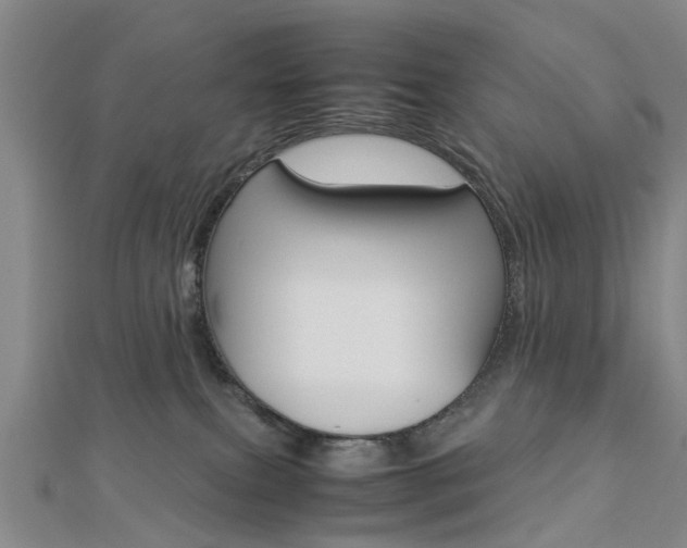 X0000112730087200908201023