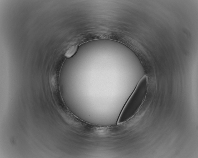 X0000112730088200908201023