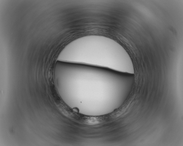 X0000112730091200908201023