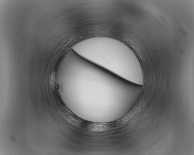 X0000112730093200908201023