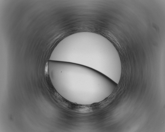 X0000112730095200908201023