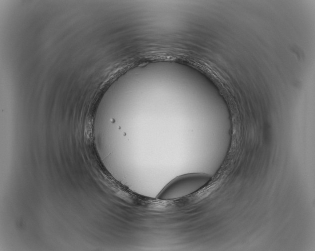 X0000112730096200908201023