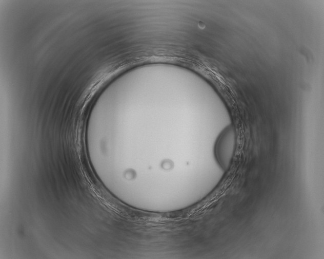 X0000112730098200908201022