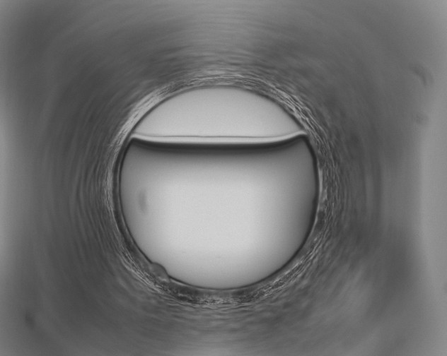 X0000112730099200908201022