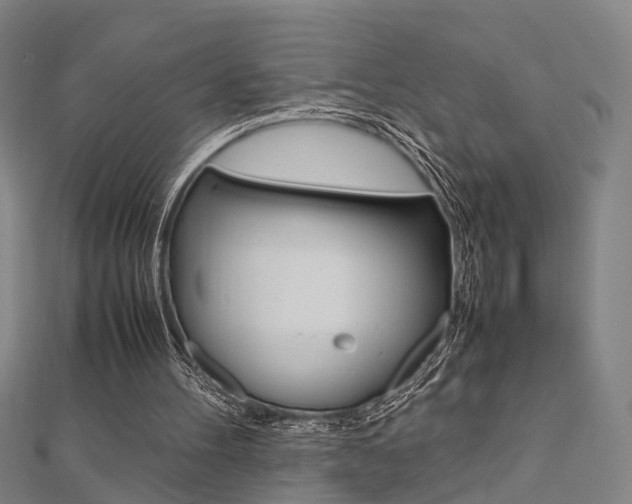 X0000112730100200908201022