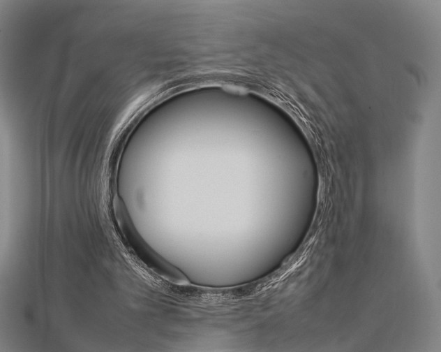 X0000112730101200908201022