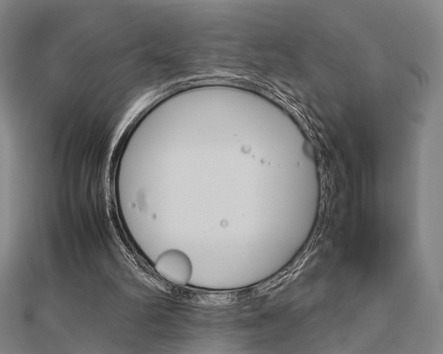 X0000112730102200908201022