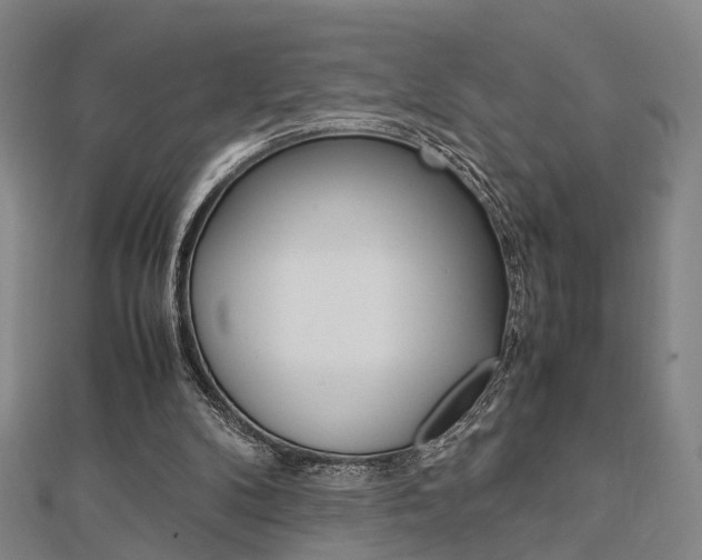 X0000112730104200908201022