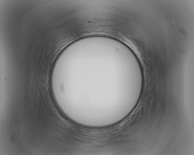 X0000112730105200908201022