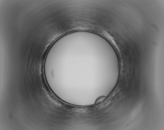 X0000112730106200908201022