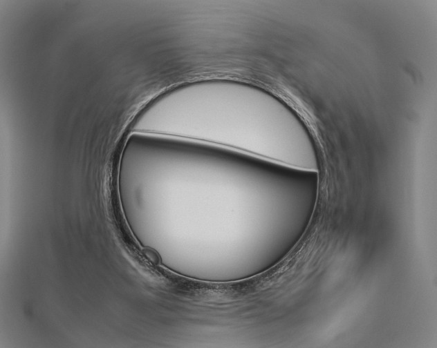 X0000112730107200908201022