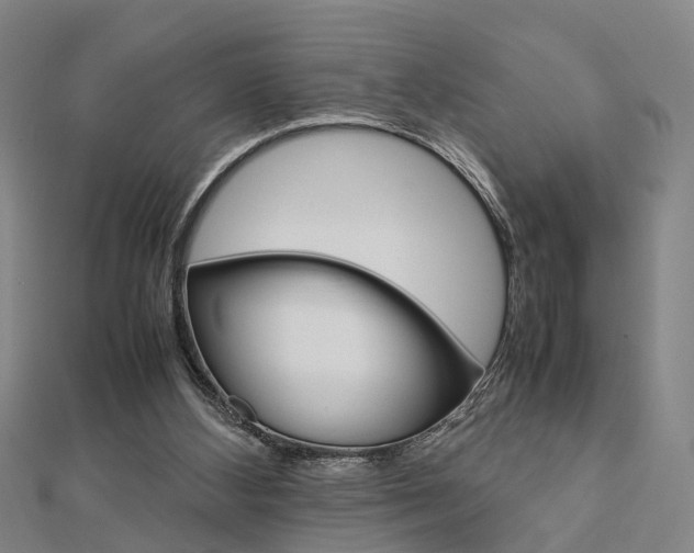 X0000112730108200908201022