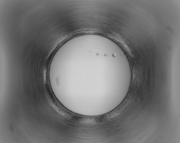 X0000112730110200908201022