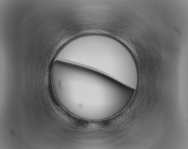 X0000112730111200908201022