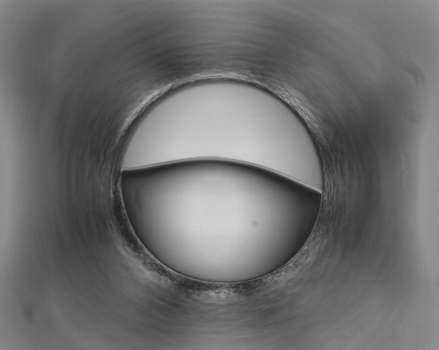 X0000112730112200908201022