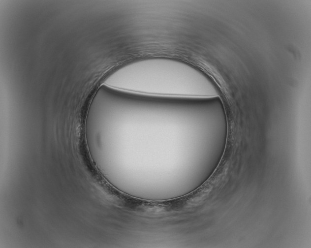 X0000112730113200908201022