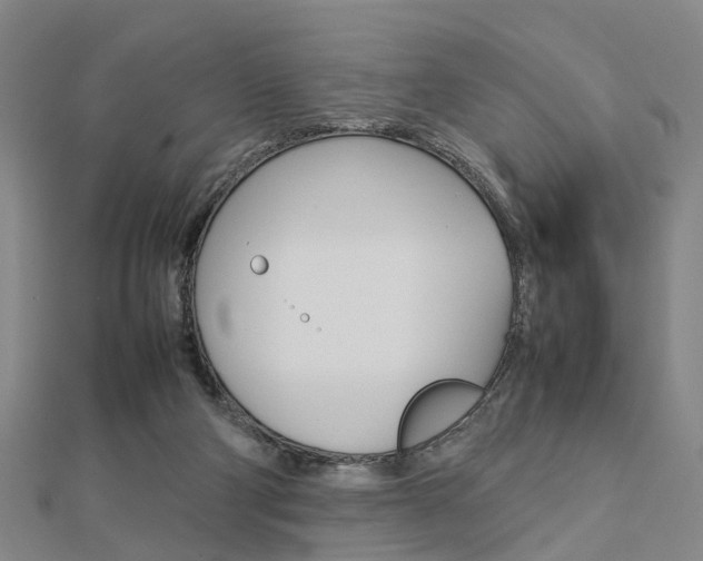 X0000112730114200908201022