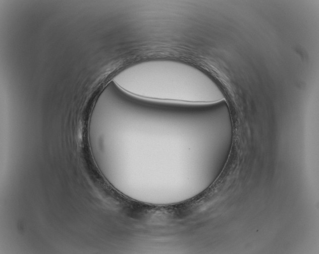 X0000112730115200908201022