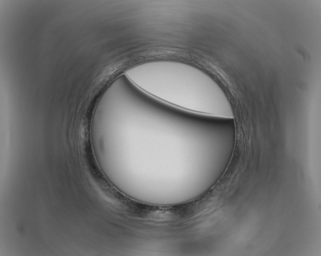 X0000112730119200908201022