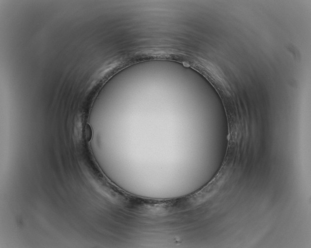 X0000112730120200908201022