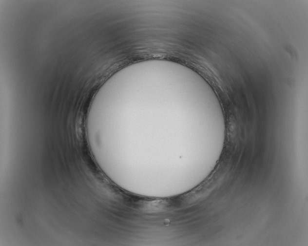 X0000112730122200908201022