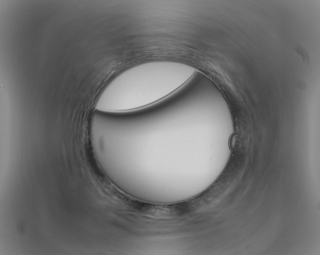 X0000112730123200908201022