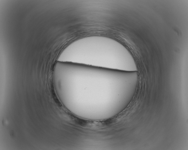 X0000112730125200908201022