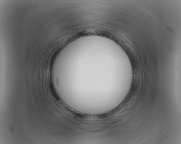 X0000112730127200908201021