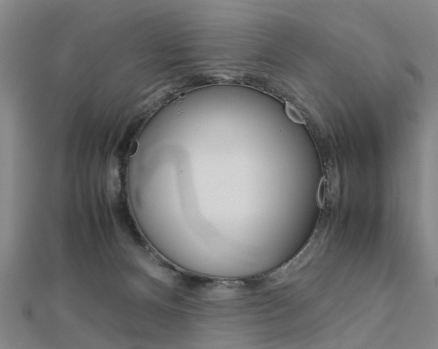 X0000112730128200908201021