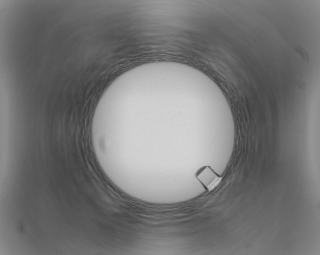 X0000112730129200908201021