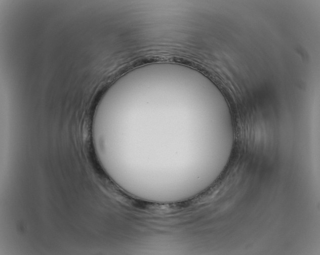 X0000112730131200908201021