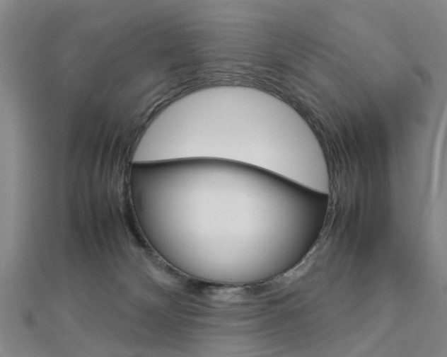 X0000112730132200908201021