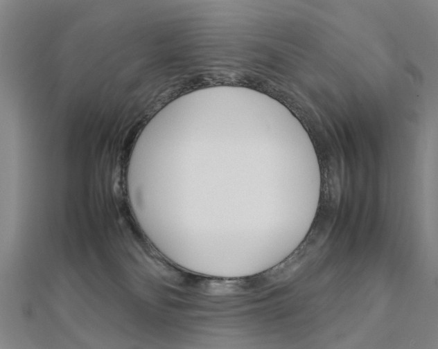 X0000112730134200908201021