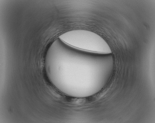 X0000112730135200908201021