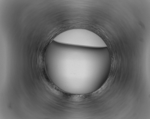 X0000112730136200908201021