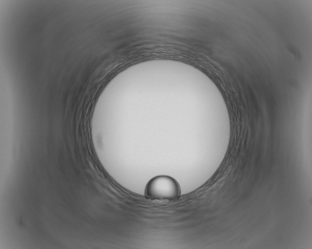 X0000112730137200908201021