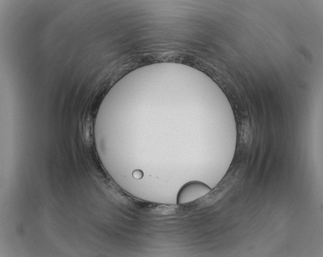 X0000112730138200908201021