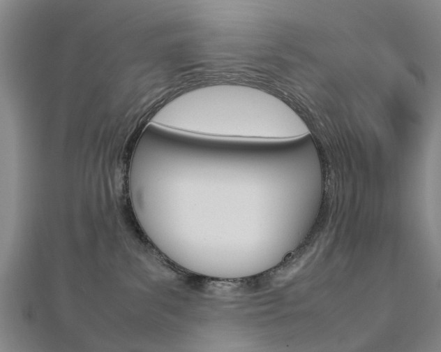 X0000112730139200908201021