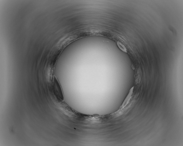 X0000112730140200908201021