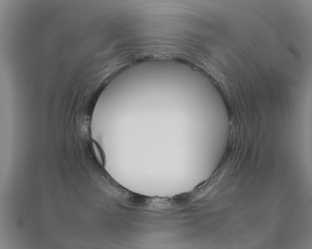 X0000112730141200908201021