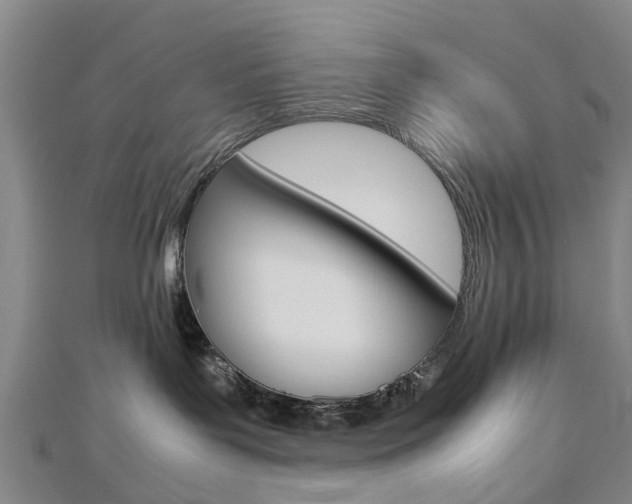 X0000112730143200908201021