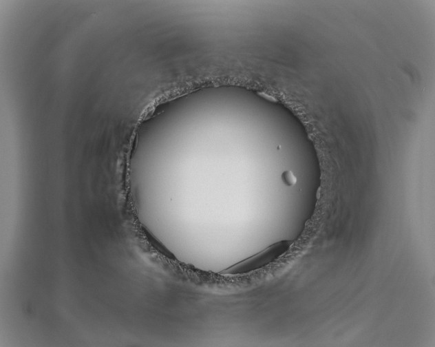 X0000112730144200908201021