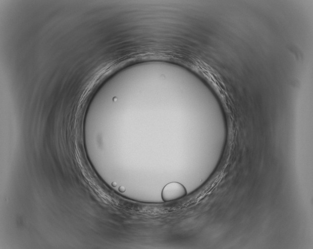 X0000112730145200908201020