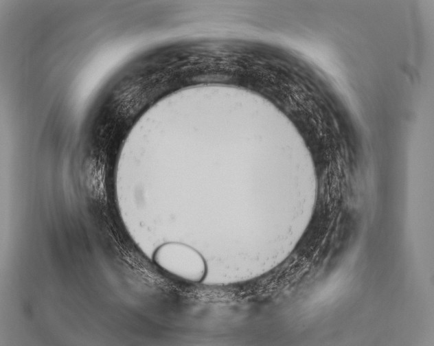 X0000112730146200908201020