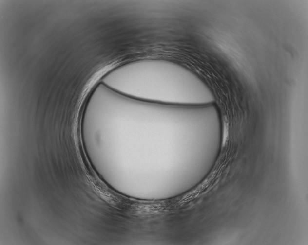 X0000112730147200908201021