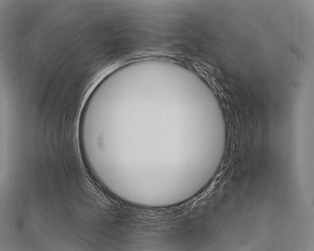 X0000112730148200908201021